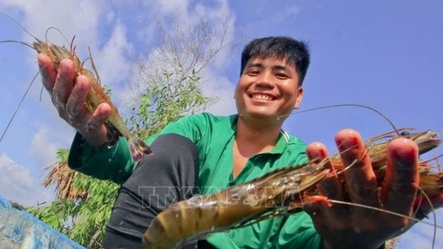 Shrimp industry advised to take actions to maintain growth momentum